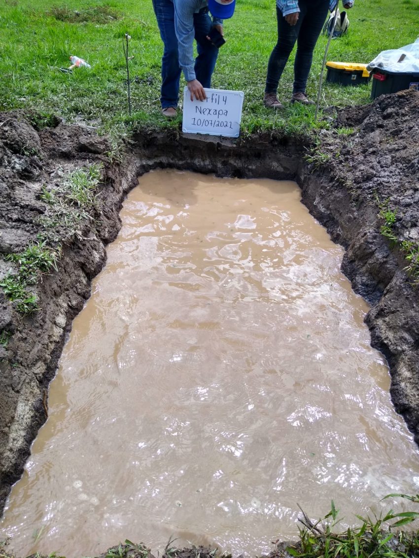 Tips para hacer una calicata o pozo pedológico – Blog de suelos